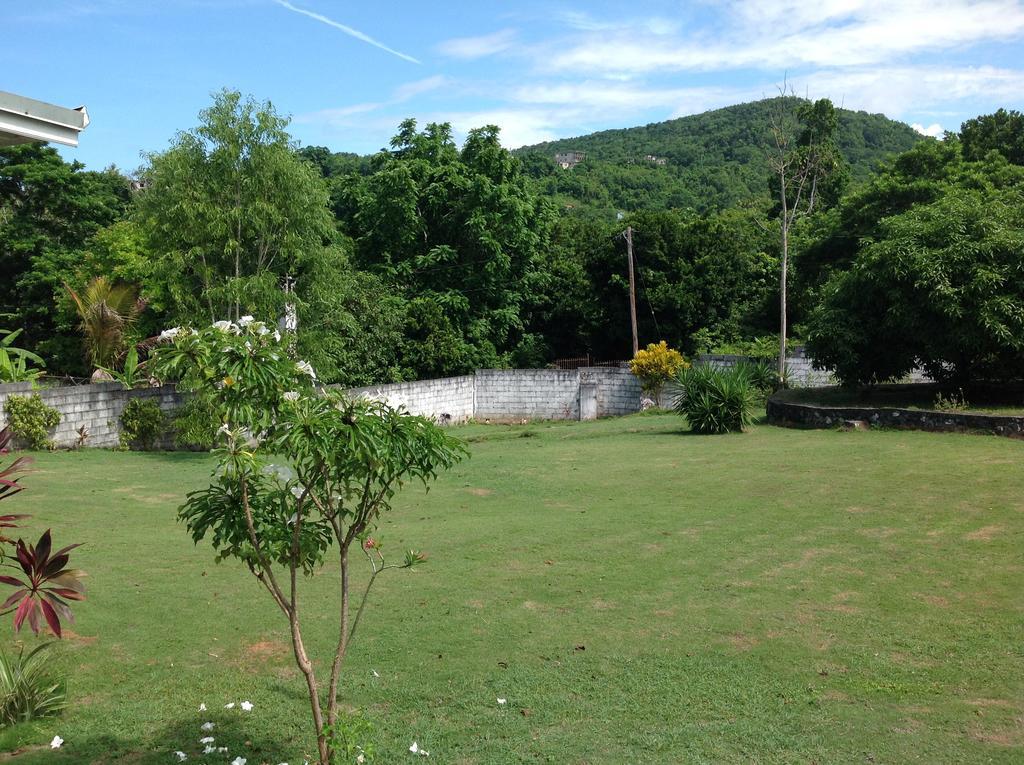 Chillax On Our Farm Ocho Rios Exterior foto