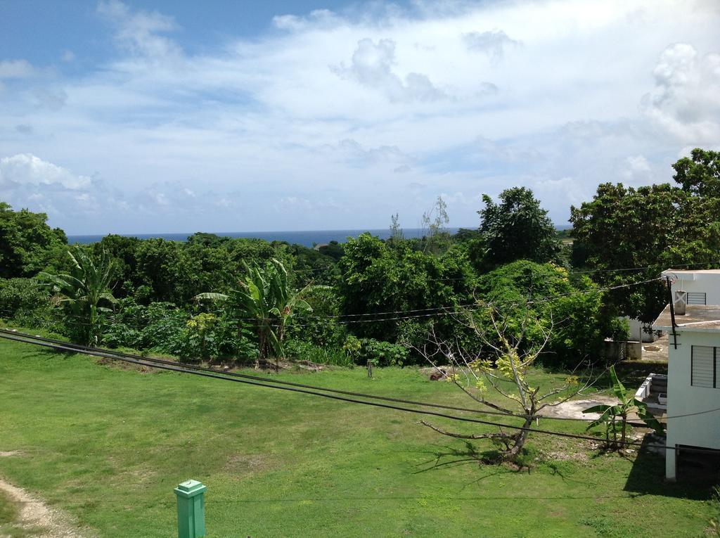 Chillax On Our Farm Ocho Rios Exterior foto