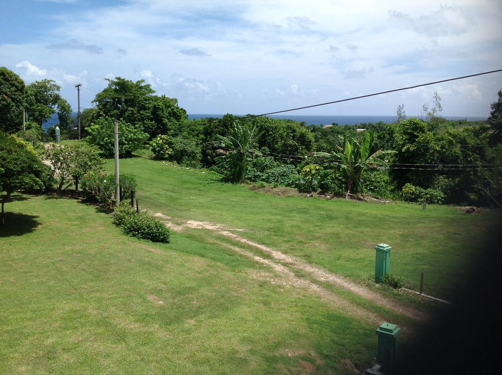 Chillax On Our Farm Ocho Rios Exterior foto
